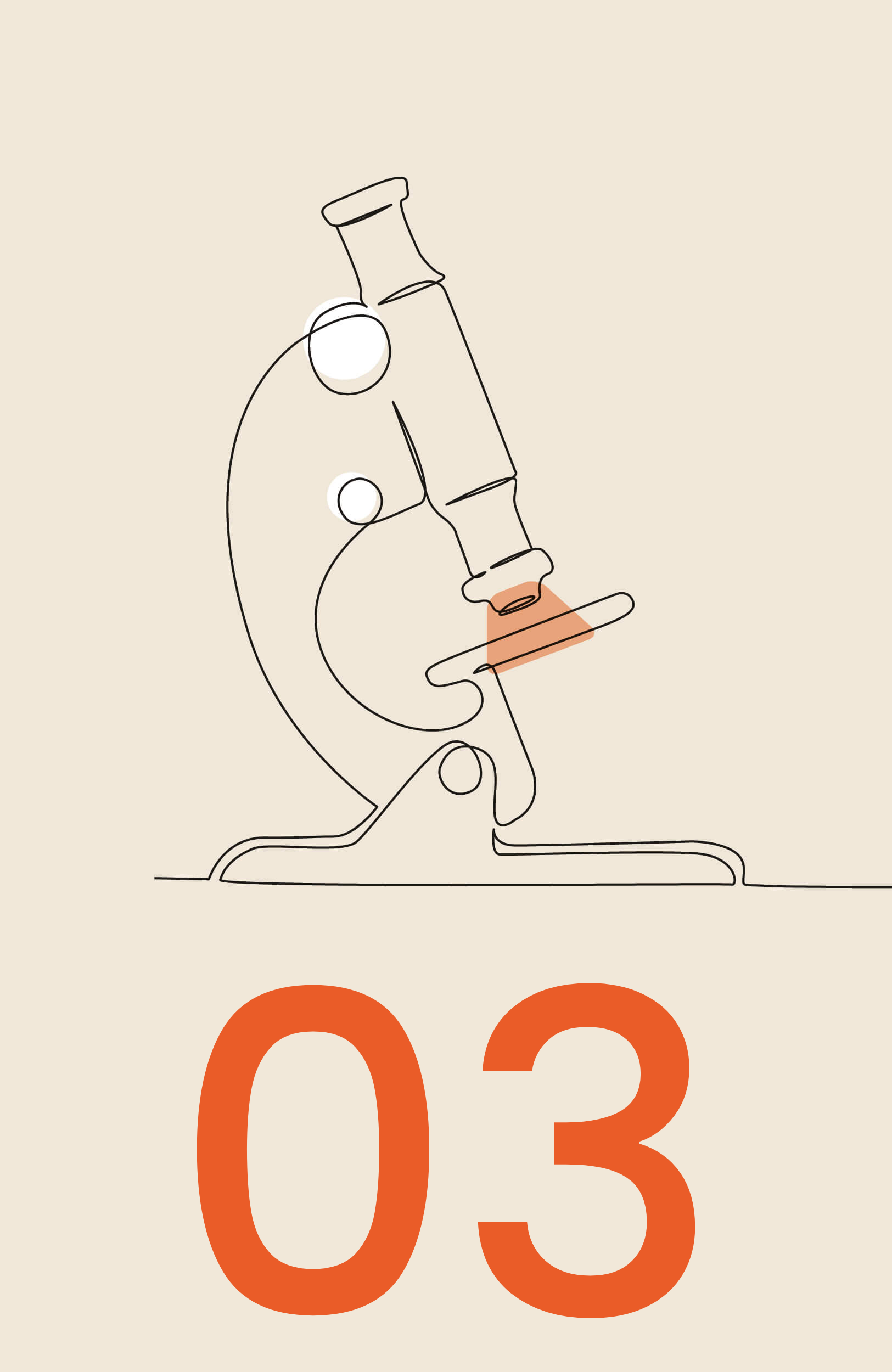Maxmo Genanalyse 03 Eine minimalistische Strichzeichnung eines Mikroskops, das die Genanalyse symbolisiert, weist ein orange getöntes Detail auf und befindet sich über einer großen orangefarbenen Zahl 03 auf einem hellbeigen Hintergrund.